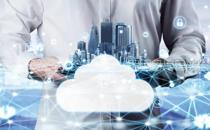 加拿大28圈合法吗赛富乐斯云计算的两种关键形态：云服务与云平台