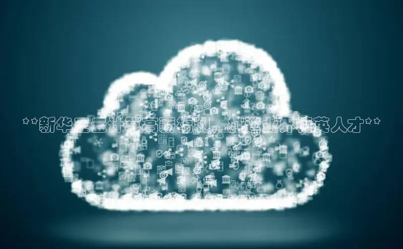 加拿大28圈下载百度翻译**新华三云计算高薪福利，打造业界精英人才**