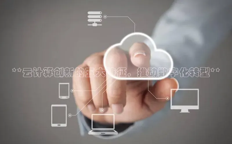 28圈.ccmpc正版度小满理财**云计算创新的五大特征，推动数字化转型**