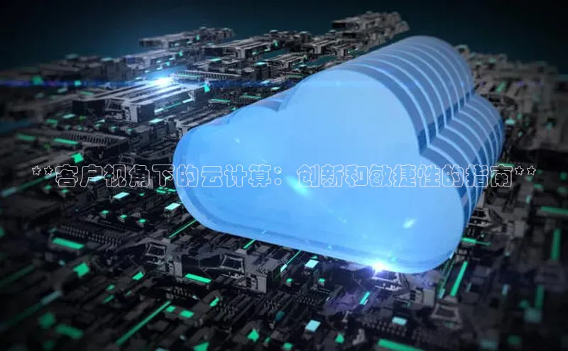 28圈平台链接华策影视**客户视角下的云计算：创新和敏捷性的指南**