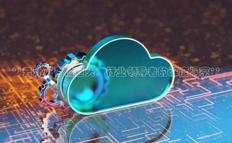 加拿大28圈数字规则百度安全社区**云计算存储巨头：行业领导者的深度洞察**