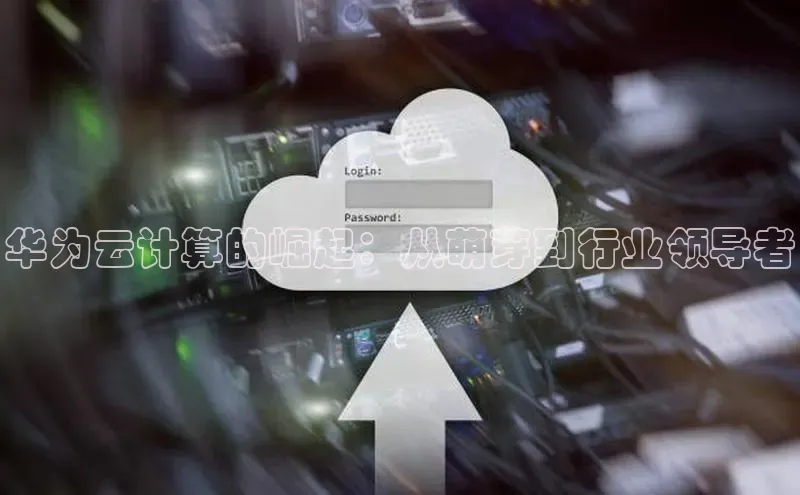 加拿大pc28平台app下载百度健康华为云计算的崛起：从萌芽到行业领导者