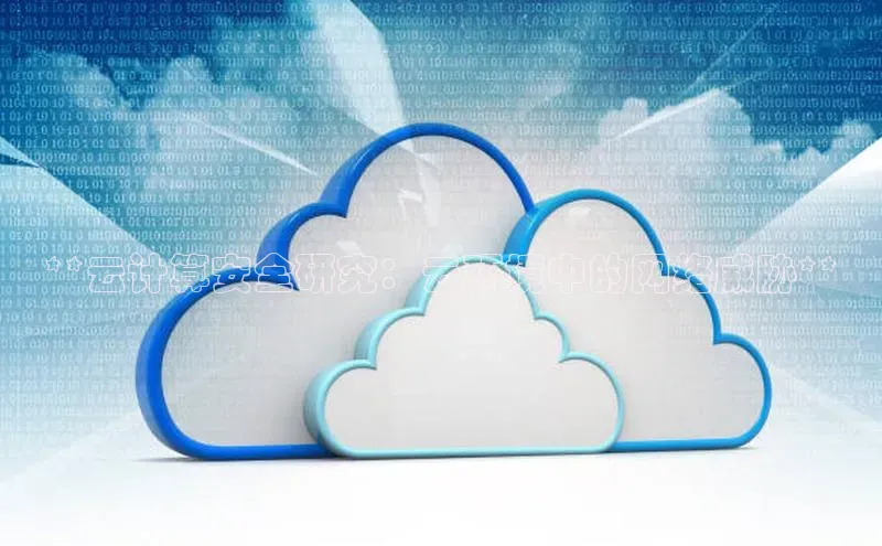 加拿大28圈合法吗百度取证**云计算安全研究：云环境中的网络威胁**