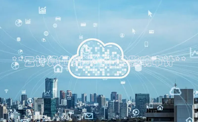 28圈.ccmpc正版彩讯股份**云计算如何数据化地影响审计**
