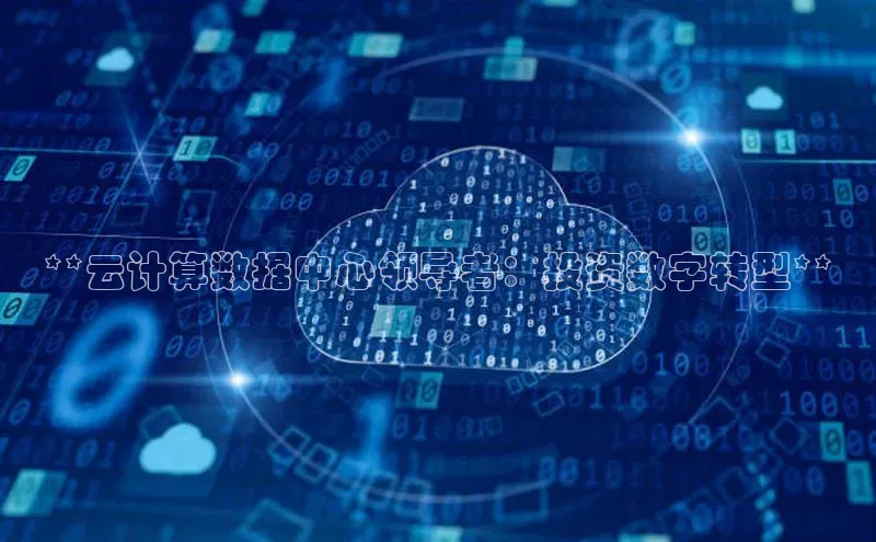 28圈.ccmpc携程**云计算数据中心领导者：投资数字转型**