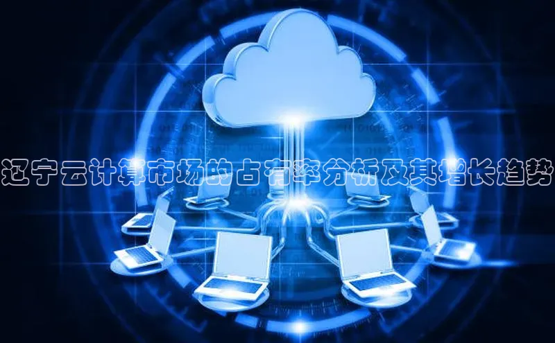 加拿大28圈.ccm挪威主权基金辽宁云计算市场的占有率分析及其增长趋势