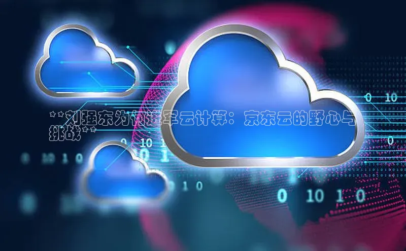 加拿大NG28娱乐软件同程**刘强东为何进军云计算：京东云的野心与
挑战**