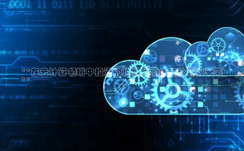 加拿大28开奖结果查询今天金山办公**在云计算领域中投资的顶级股票：云计算的未来
**