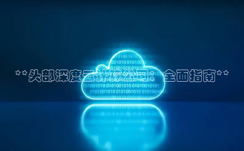 28电子游戏官方网站百度搜索资源平台**头部深度云计算公司：全面指南**