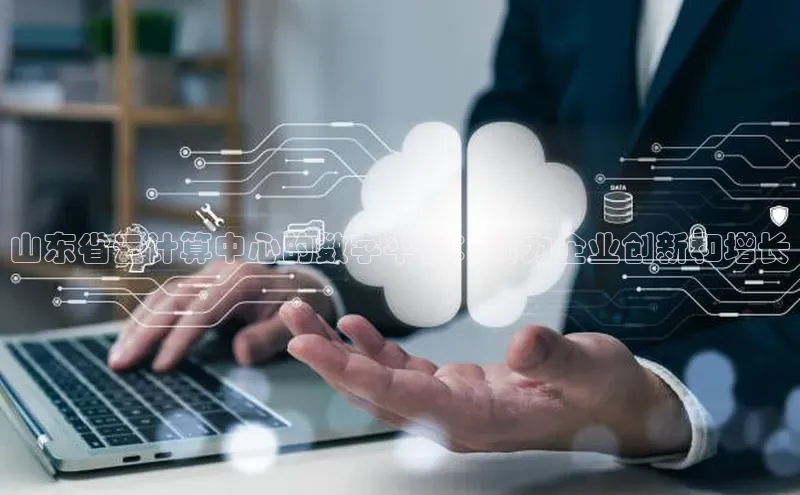 28圈电子游戏汉得信息山东省云计算中心的数字平台：助力企业创新和增长