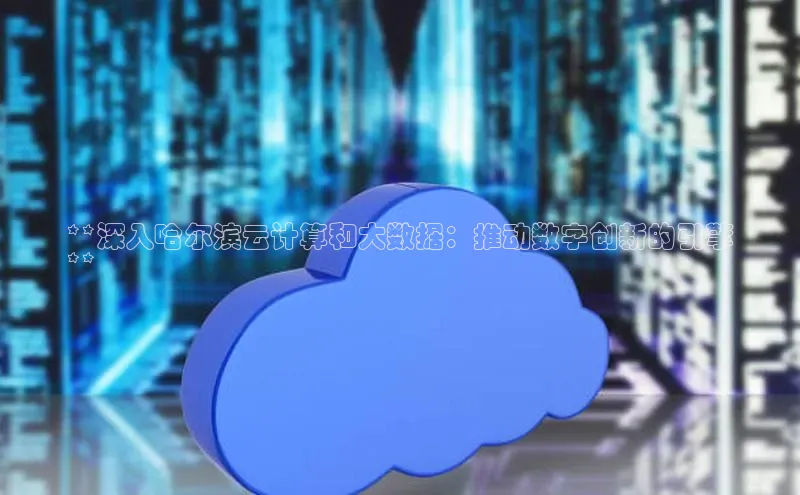 加拿大28圈.ccm百度识图**深入哈尔滨云计算和大数据：推动数字创新的引擎
**