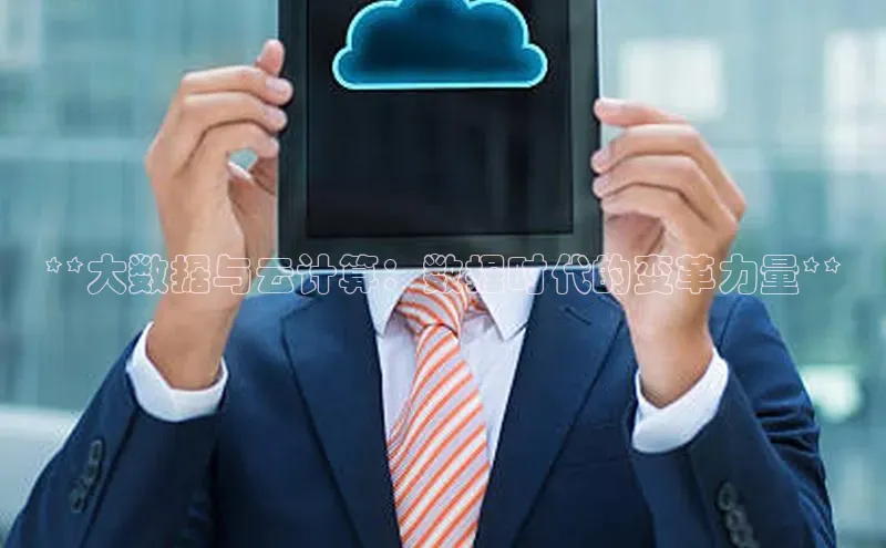 28圈平台官网版下载慧博云通**大数据与云计算：数据时代的变革力量**