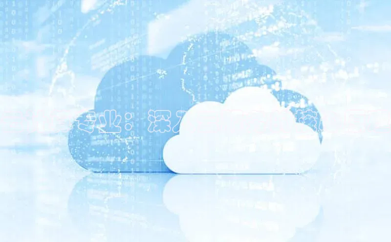 能玩加拿大28的网址如流云计算专业：深入云服务的核心原理