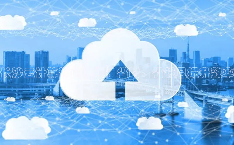 加拿大28圈最新版2023下载神思电子长沙云计算订阅续订：省时、省钱且提升效率