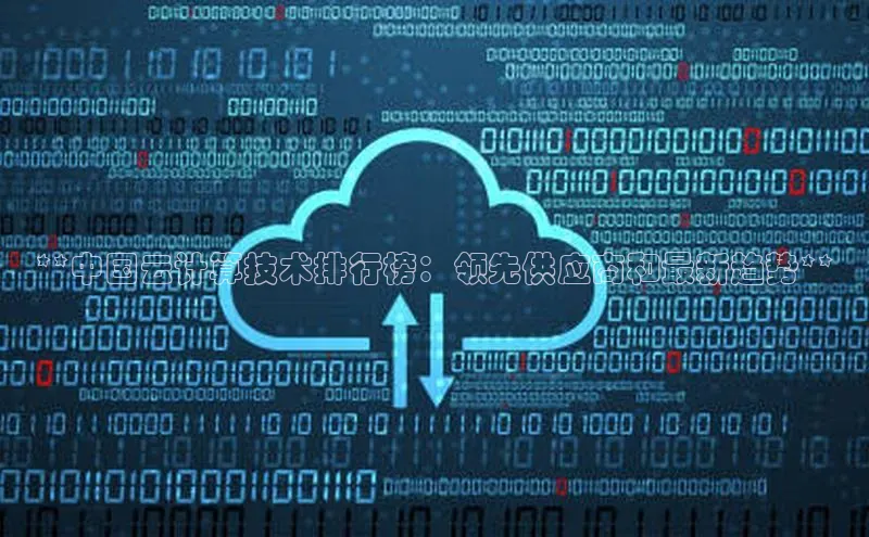加拿大28圈.ccm挪威主权基金**中国云计算技术排行榜：领先供应商和最新趋势**