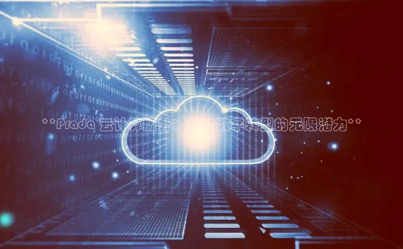 28圈.ccmpc29官网版下载云创智行**Prada 云计算服务：释放数字转型的无限潜力**