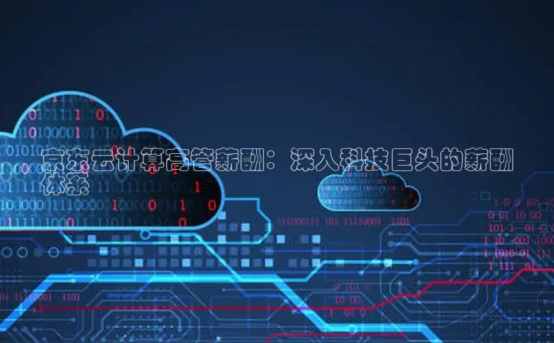 28圈.ccmpc正版度小满理财京东云计算高管薪酬：深入科技巨头的薪酬
体系