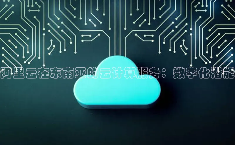 加拿大28圈最新版2023下载神思电子阿里云在东南亚的云计算服务：数字化潜能