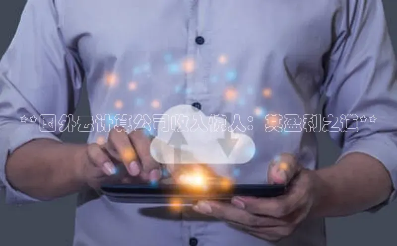 28圈app注册地址知乎**国外云计算公司收入惊人：其盈利之道**