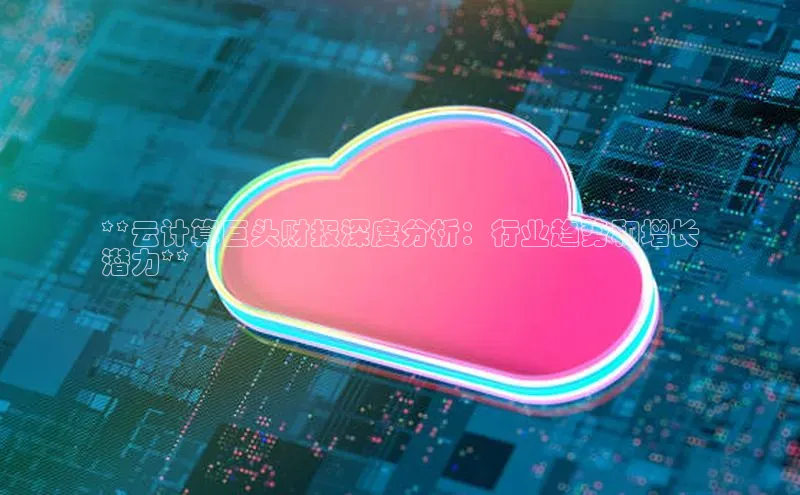 加拿大28圈.ccm百度识图**云计算巨头财报深度分析：行业趋势和增长
潜力**