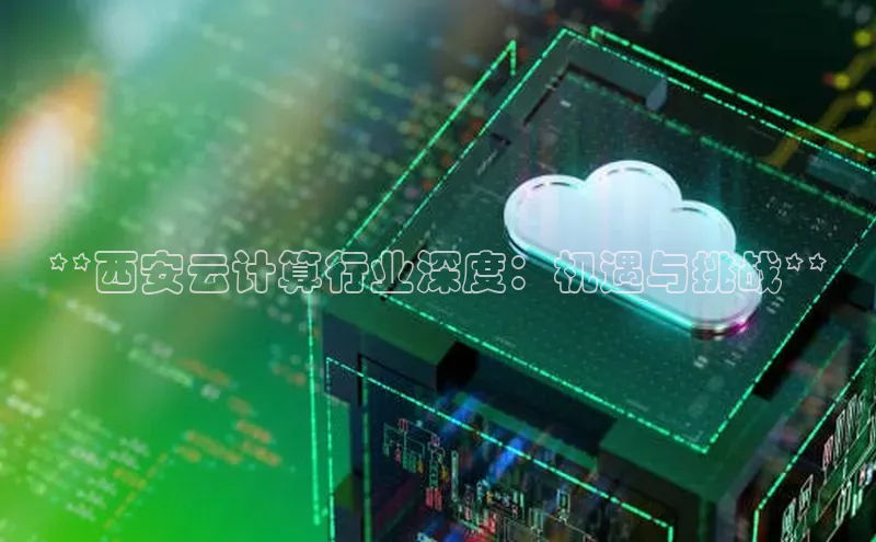 28圈电子游戏百度手机卫士**西安云计算行业深度：机遇与挑战**