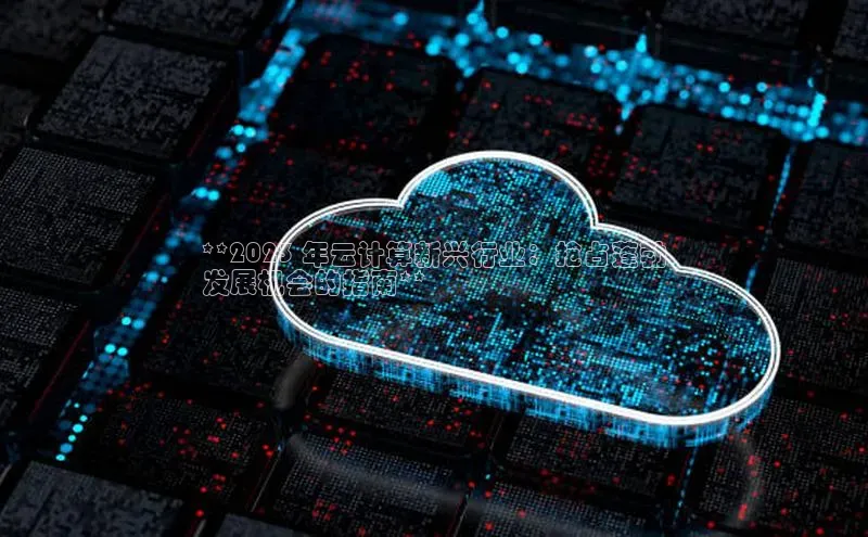 28圈.ccmpc正版彩讯股份**2023 年云计算新兴行业：抢占蓬勃
发展机会的指南**