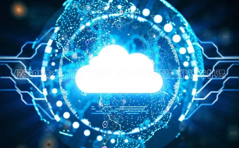 亿滋AI技术面试：迈向未来2025的智能挑战与机遇