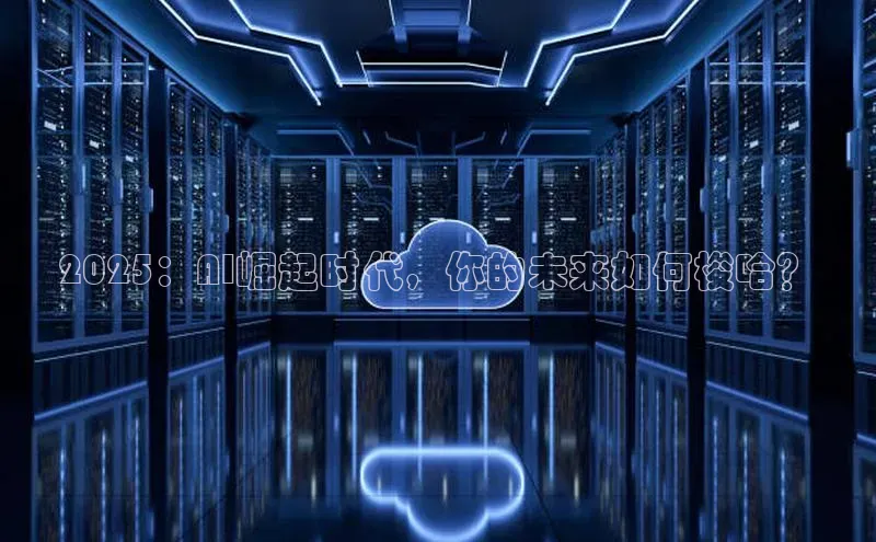 2025：AI崛起时代，你的未来如何梭哈？